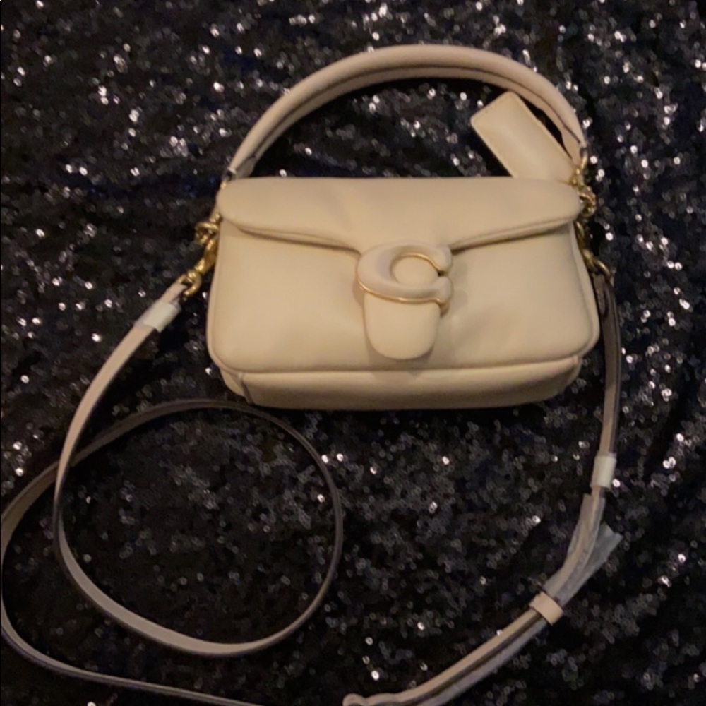 🌺🌸COACH MINI hand bag with C on the front